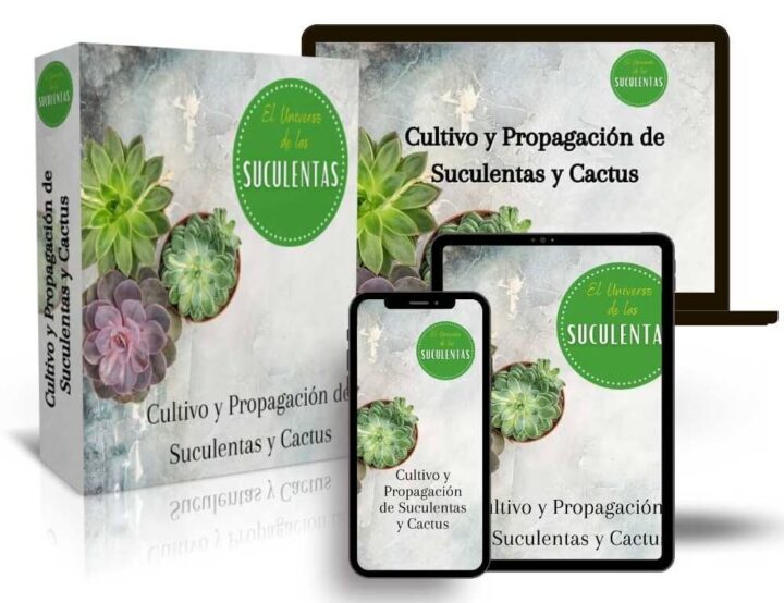 Programa-Online-5-3