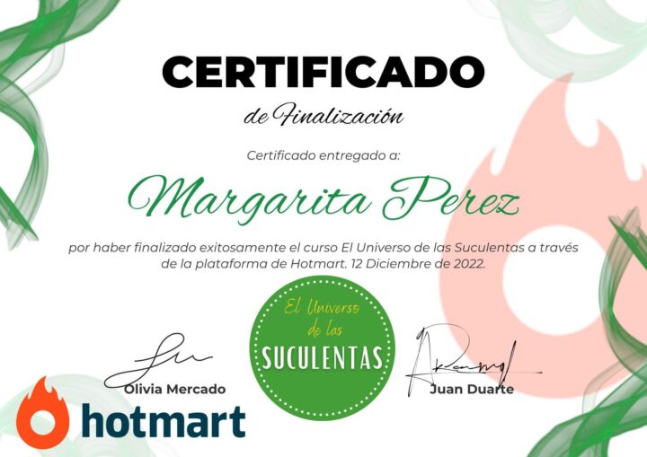 certificado-2